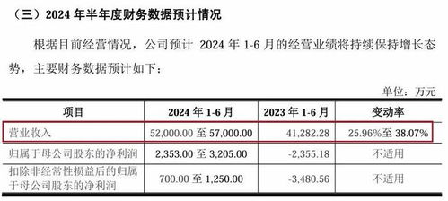 ipo再跨一步,?？低暤?兄弟 穩(wěn)了嗎