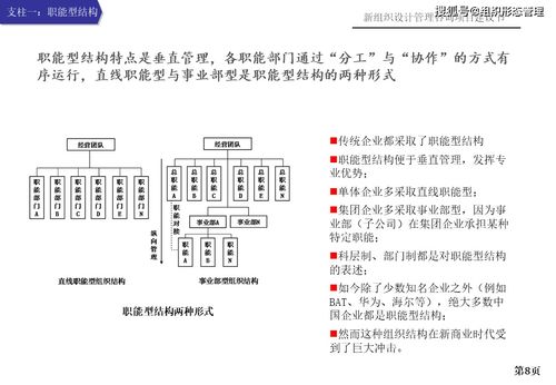 新組織設(shè)計(jì)管理咨詢項(xiàng)目建議書