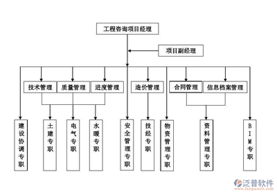 工程咨詢公司項(xiàng)目管理軟件