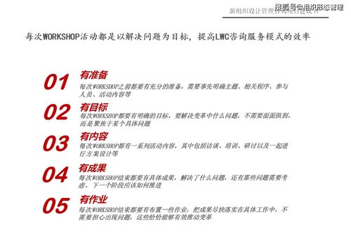 新組織設(shè)計(jì)管理咨詢項(xiàng)目建議書