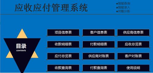 98年美女會(huì)計(jì)編制的應(yīng)收應(yīng)付管理系統(tǒng),真牛啊